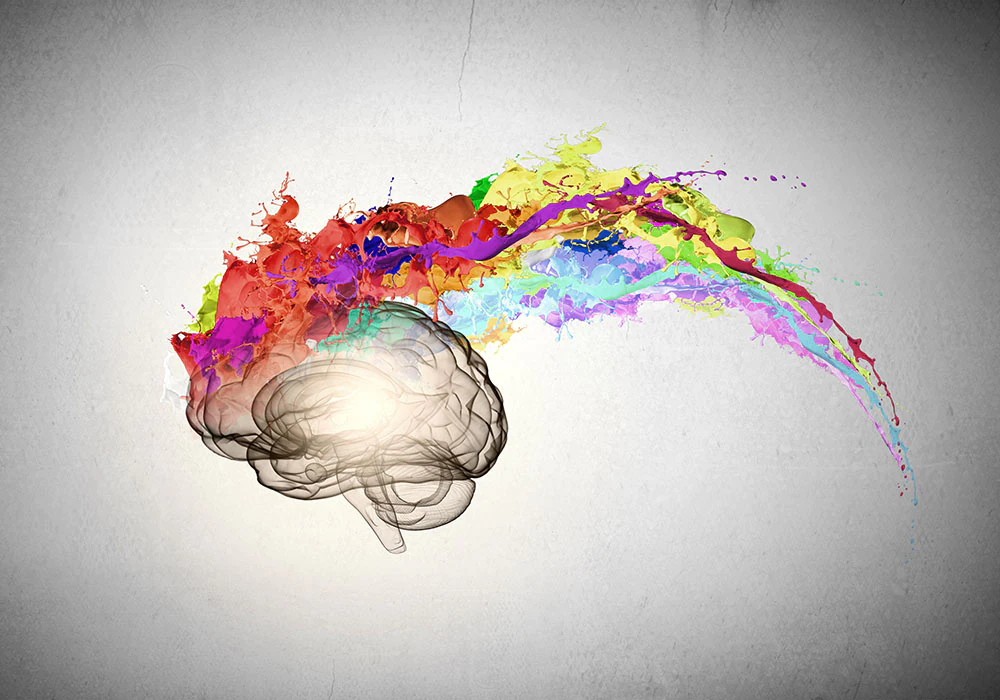 Neuroplasticity: The Art of Brain Training